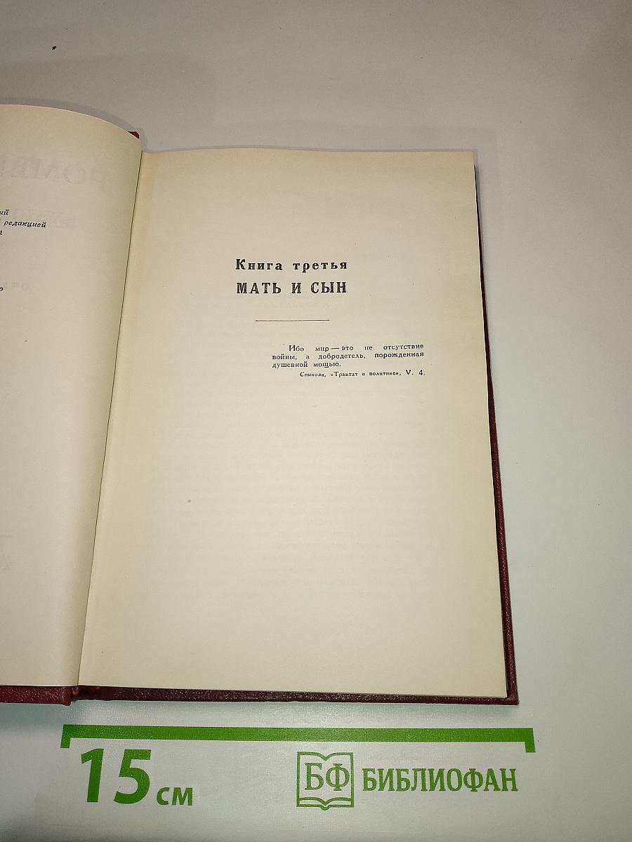 Очарованная душа. Книга третья: Мать и сын