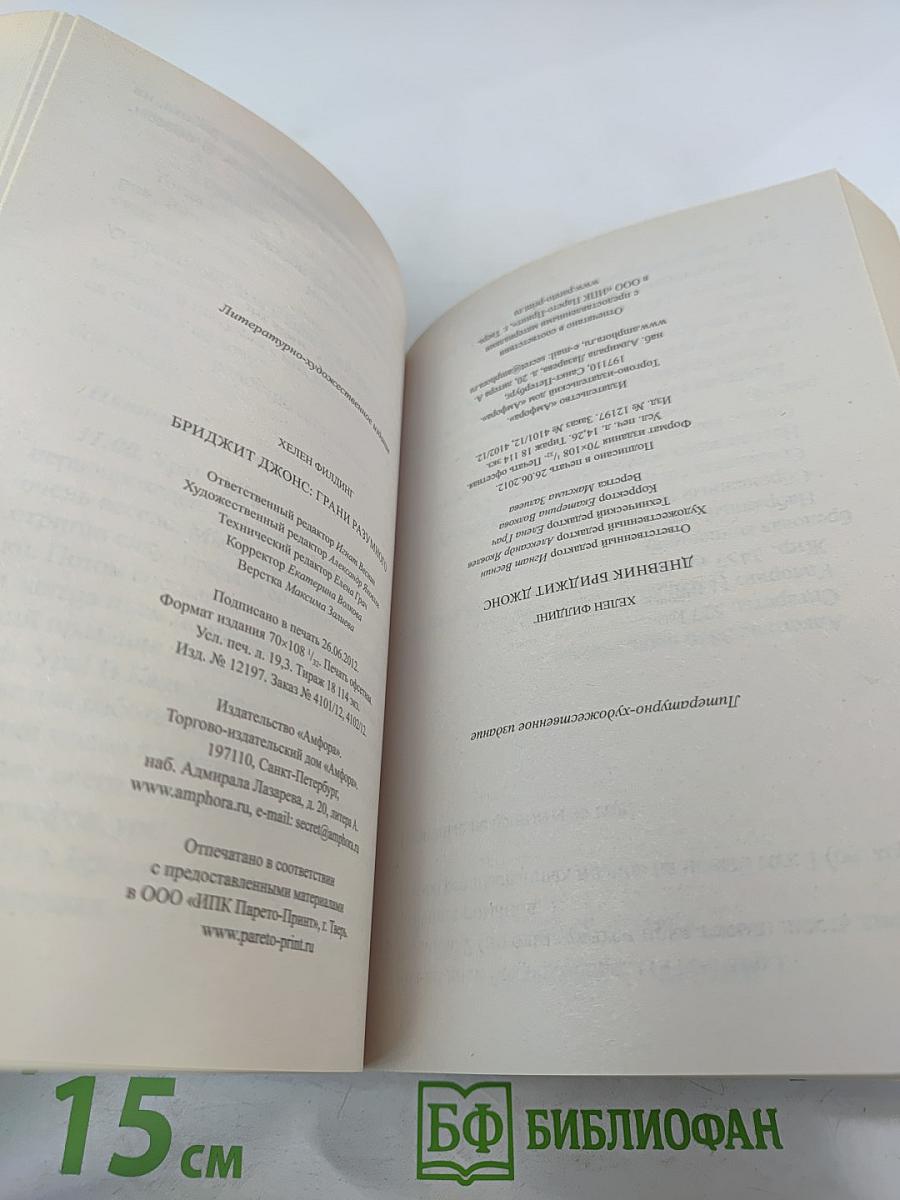 Дневник Бриджит Джонс; Бриджит Джонс: грани разумного