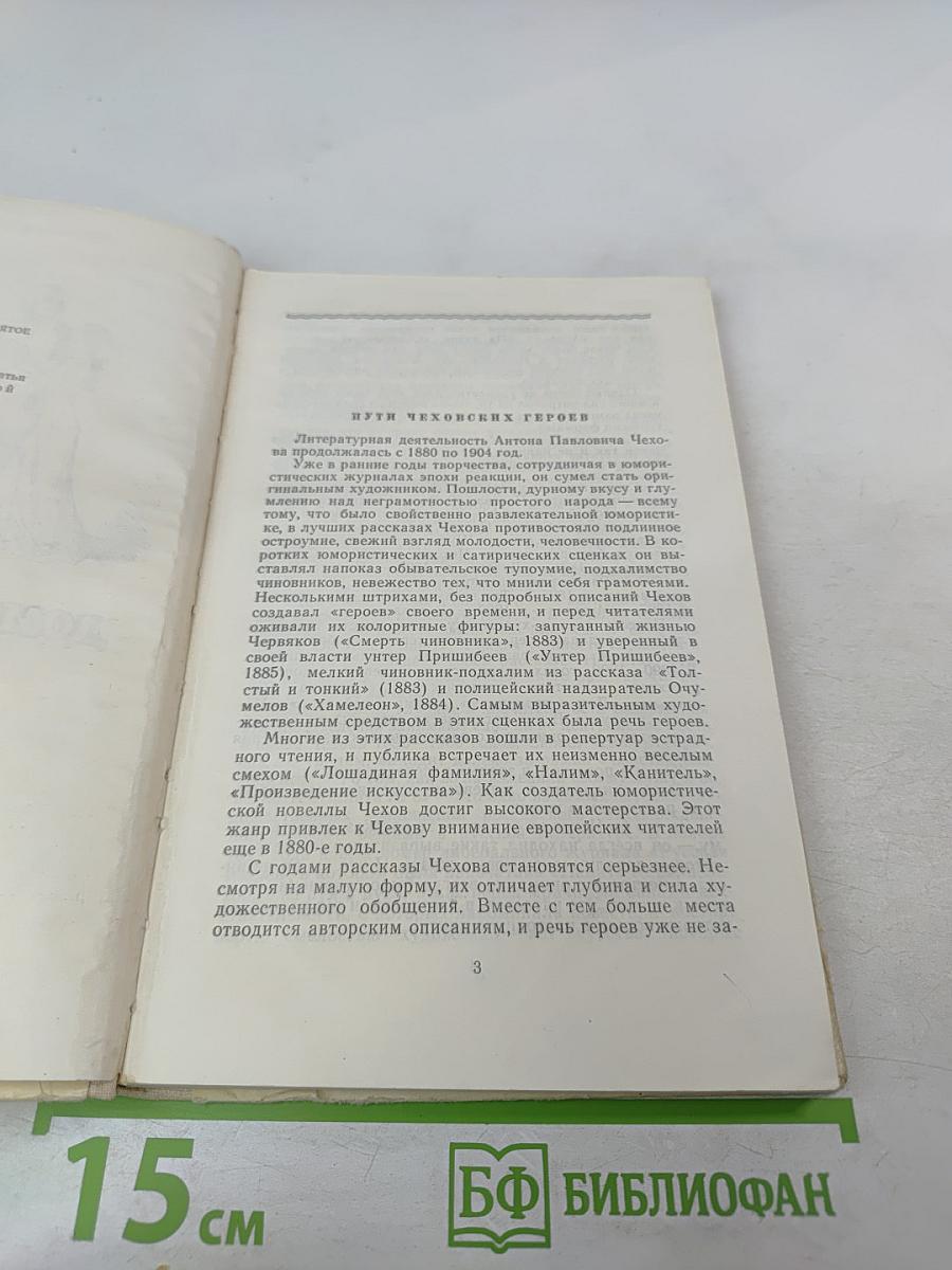 Дом с мезонином и другие рассказы