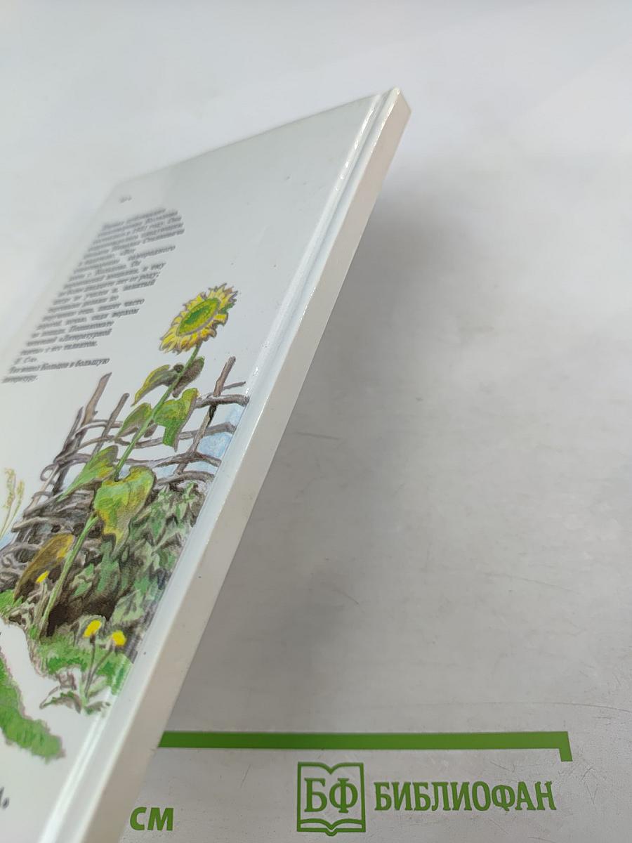 Стихотворения