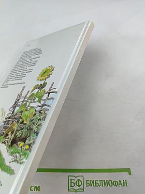 Стихотворения