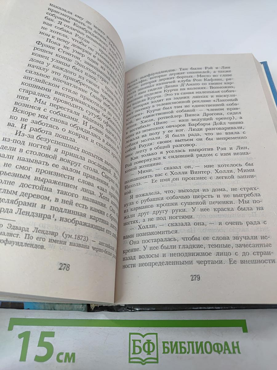 Пёс, который порвал поводок