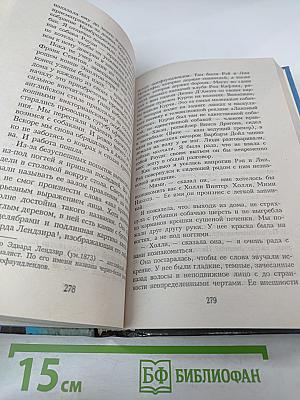 Пёс, который порвал поводок