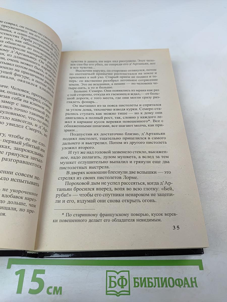 Д'Артаньян - гвардеец кардинала. Тень над короной Франции. Роман - эхо. II