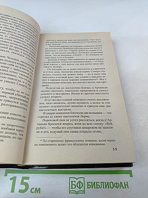 Д'Артаньян - гвардеец кардинала. Тень над короной Франции. Роман - эхо. II