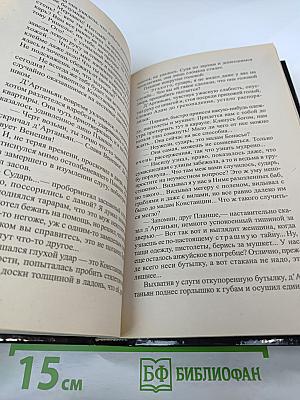 Д'Артаньян - гвардеец кардинала. Тень над короной Франции. Роман - эхо. II