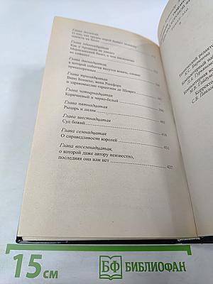 Д'Артаньян - гвардеец кардинала. Тень над короной Франции. Роман - эхо. II