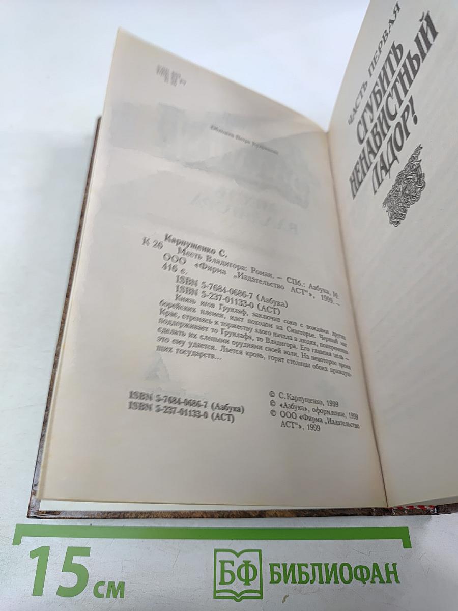 Владигор. Месть Владигора