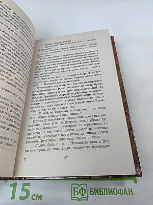 Владигор. Месть Владигора