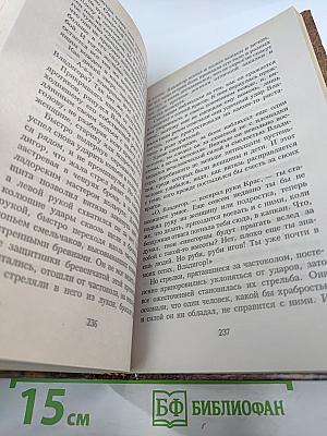 Владигор. Месть Владигора