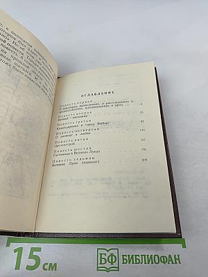 Время золотое. Ленинградские повести 1970 года