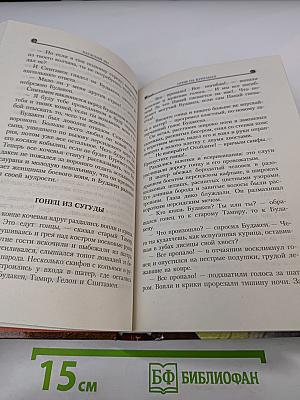 Александр Македонский. Огни на курганах