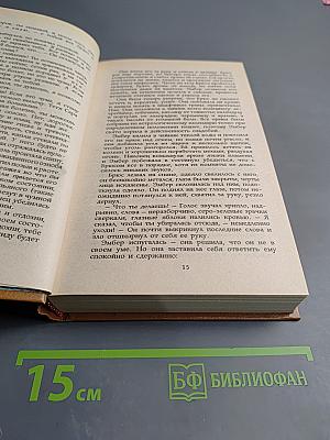 Твоя навеки, Эмбер