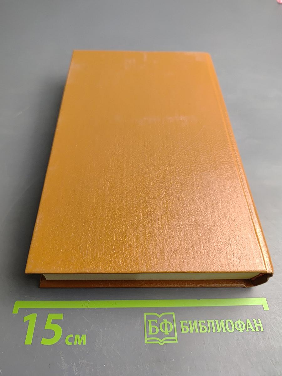 Твоя навеки, Эмбер