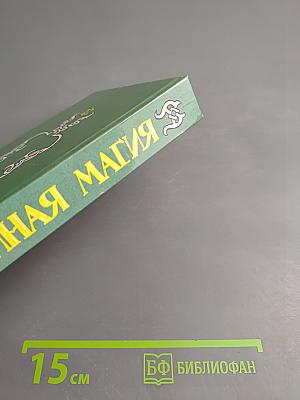 Тайная магия. Книга 1-я