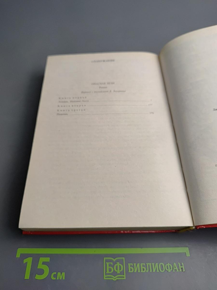 Опасная леди