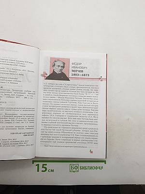 Литература. 10 класс. Часть II