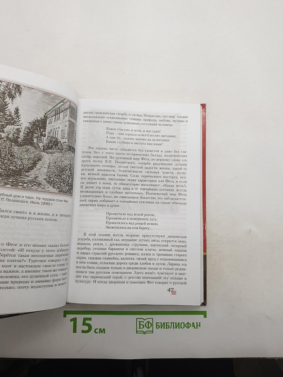 Литература. 10 класс. Часть II