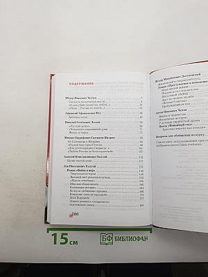 Литература. 10 класс. Часть II