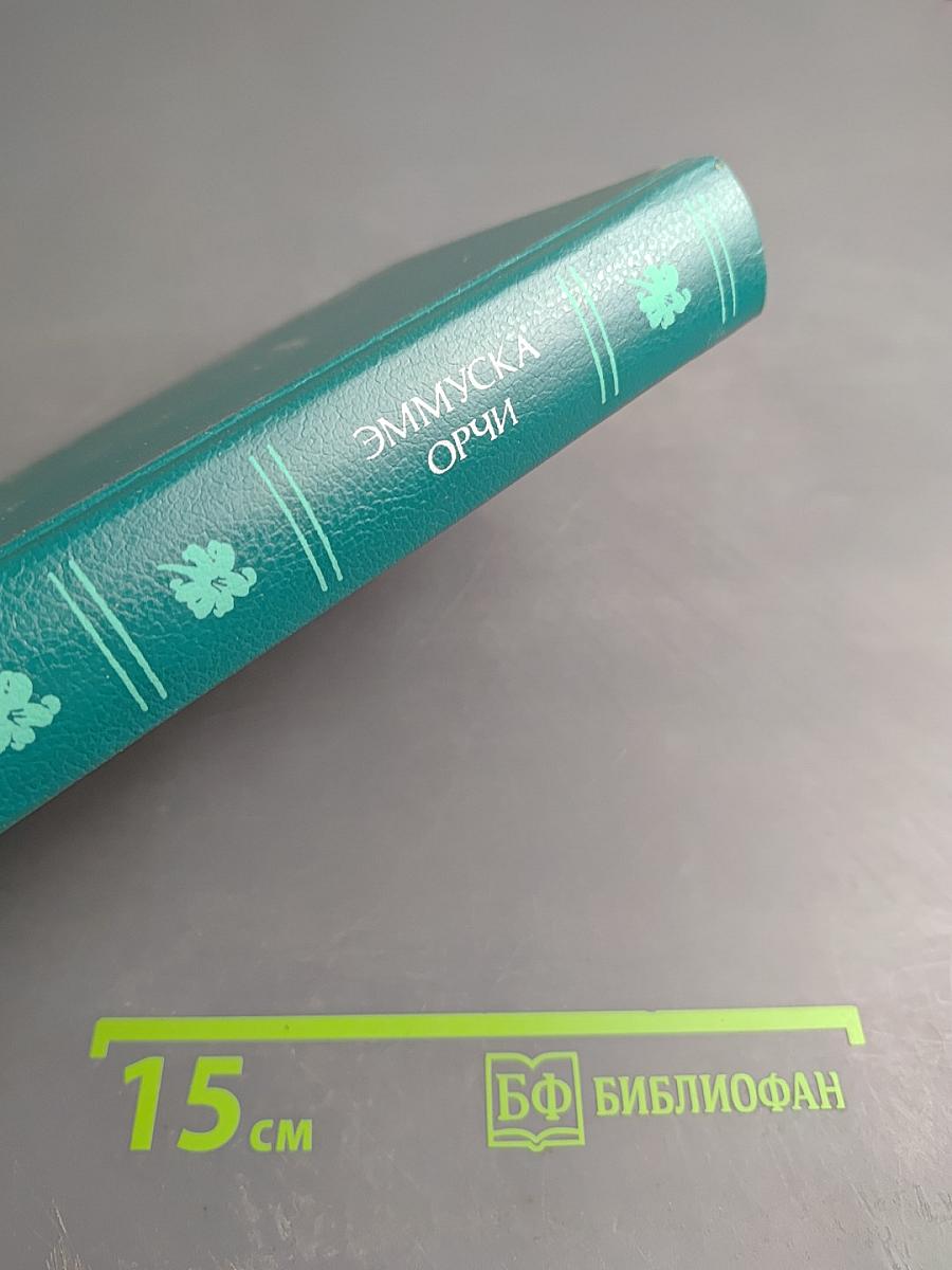 Сапожок Принцессы