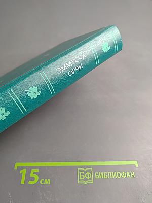 Сапожок Принцессы