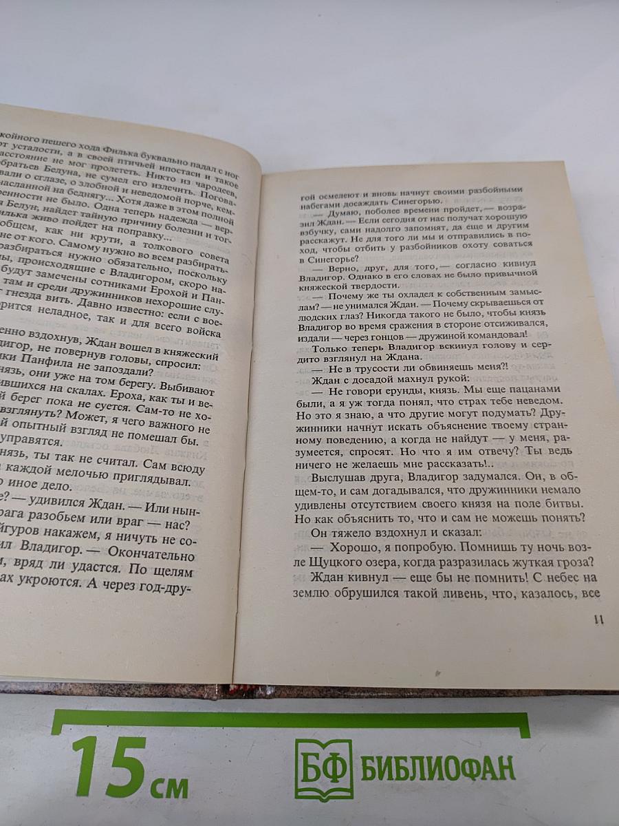 Владигор. Тайна Владигора