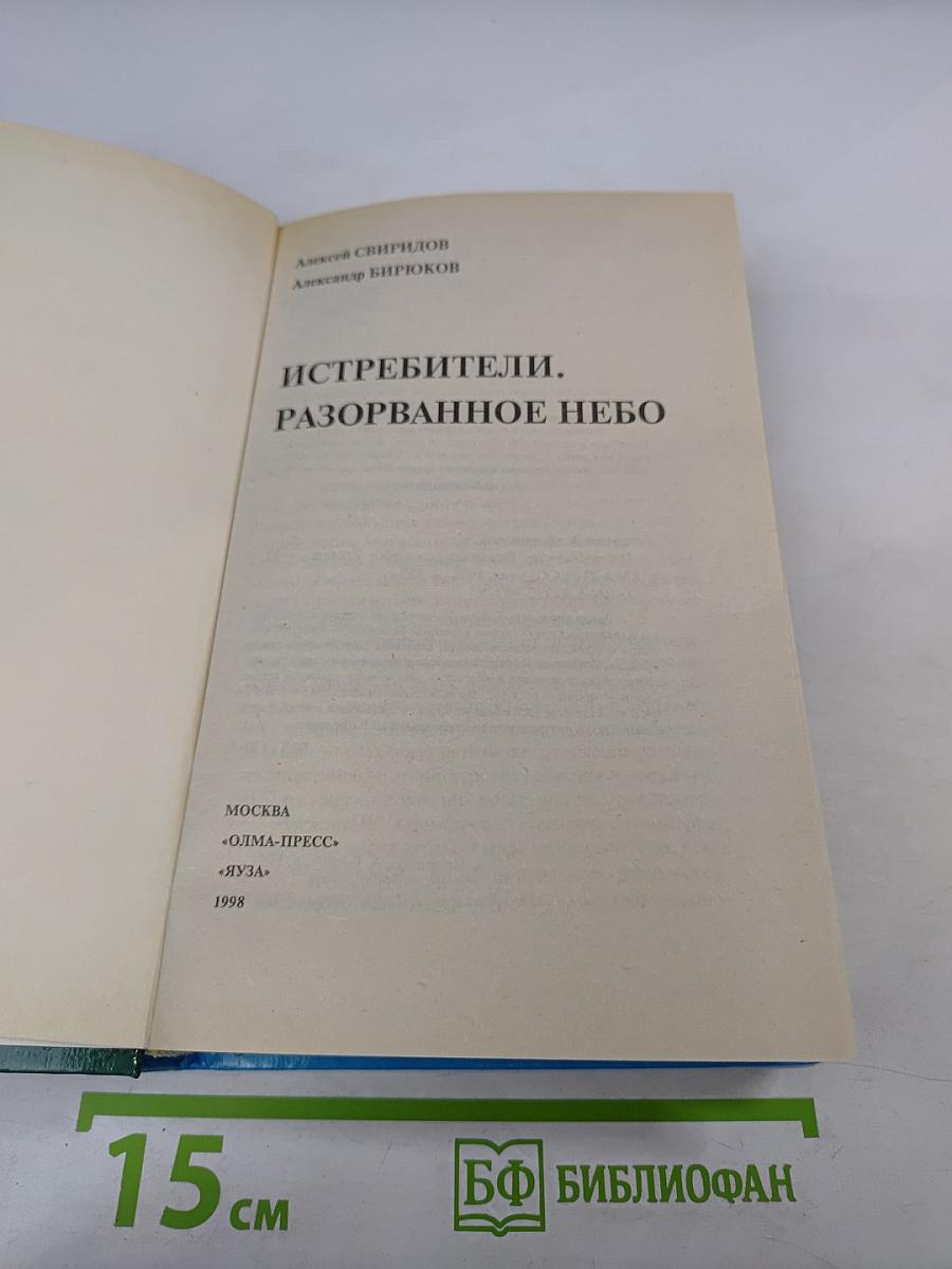 Истребители. Разорванное небо