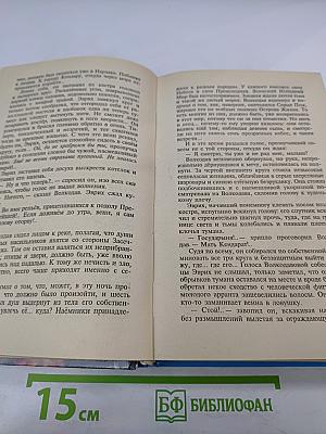 Волкодав. Право на поединок