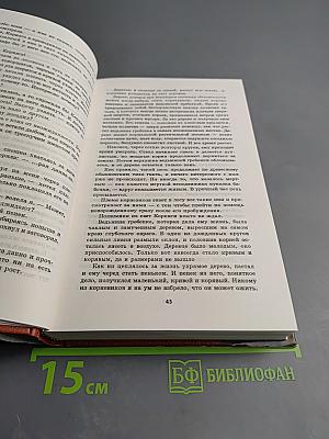 Идущие в ночь