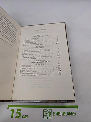 Владигор. Маска Владигора