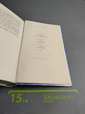 Дело Холмгрена. Отель "Турденшолд". Риф Скорпион