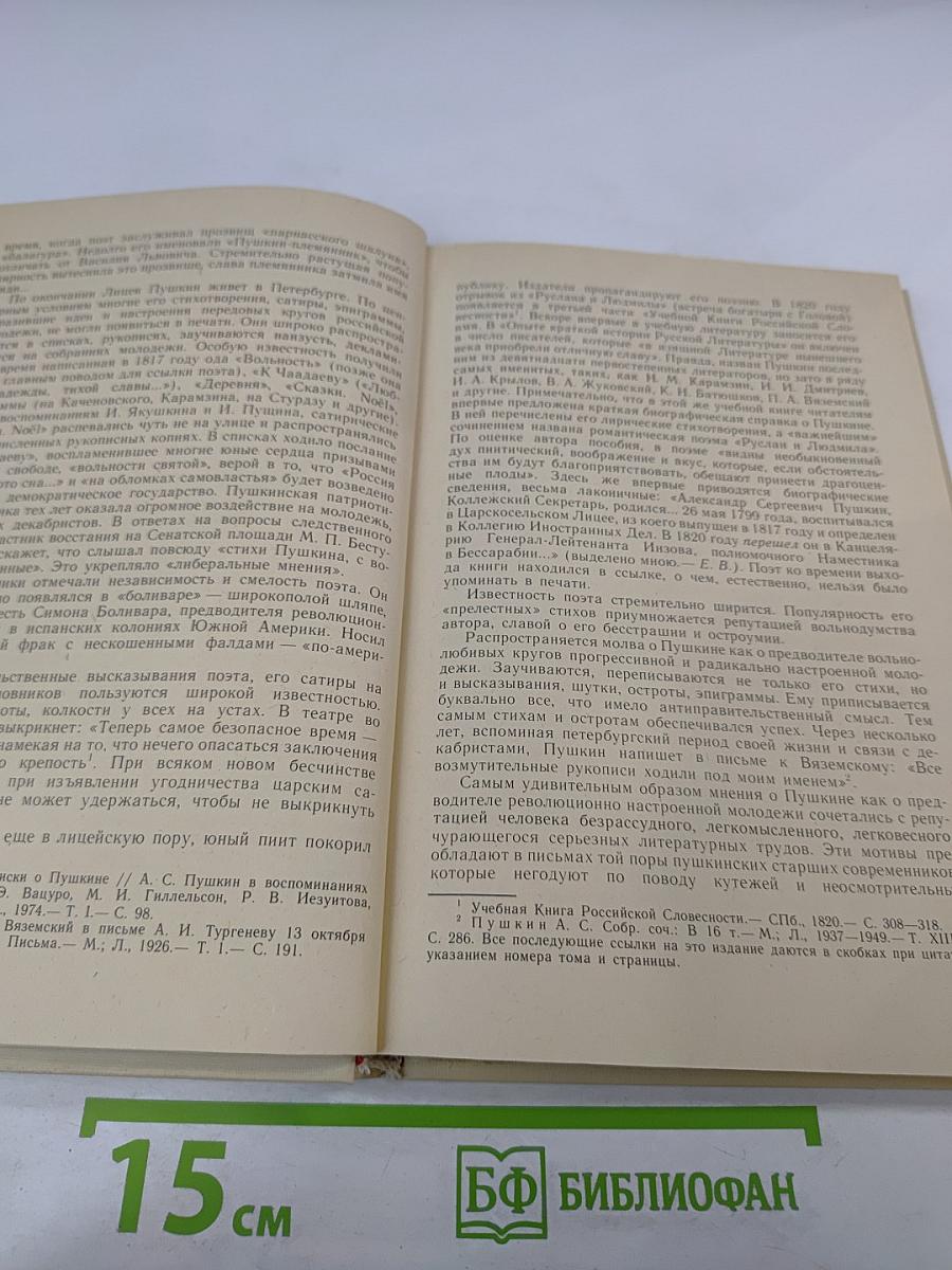 Образ, бережно хранимый. Жизнь Пушкина в памяти поколений. Книга для учителя