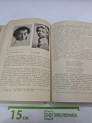 Образ, бережно хранимый. Жизнь Пушкина в памяти поколений. Книга для учителя