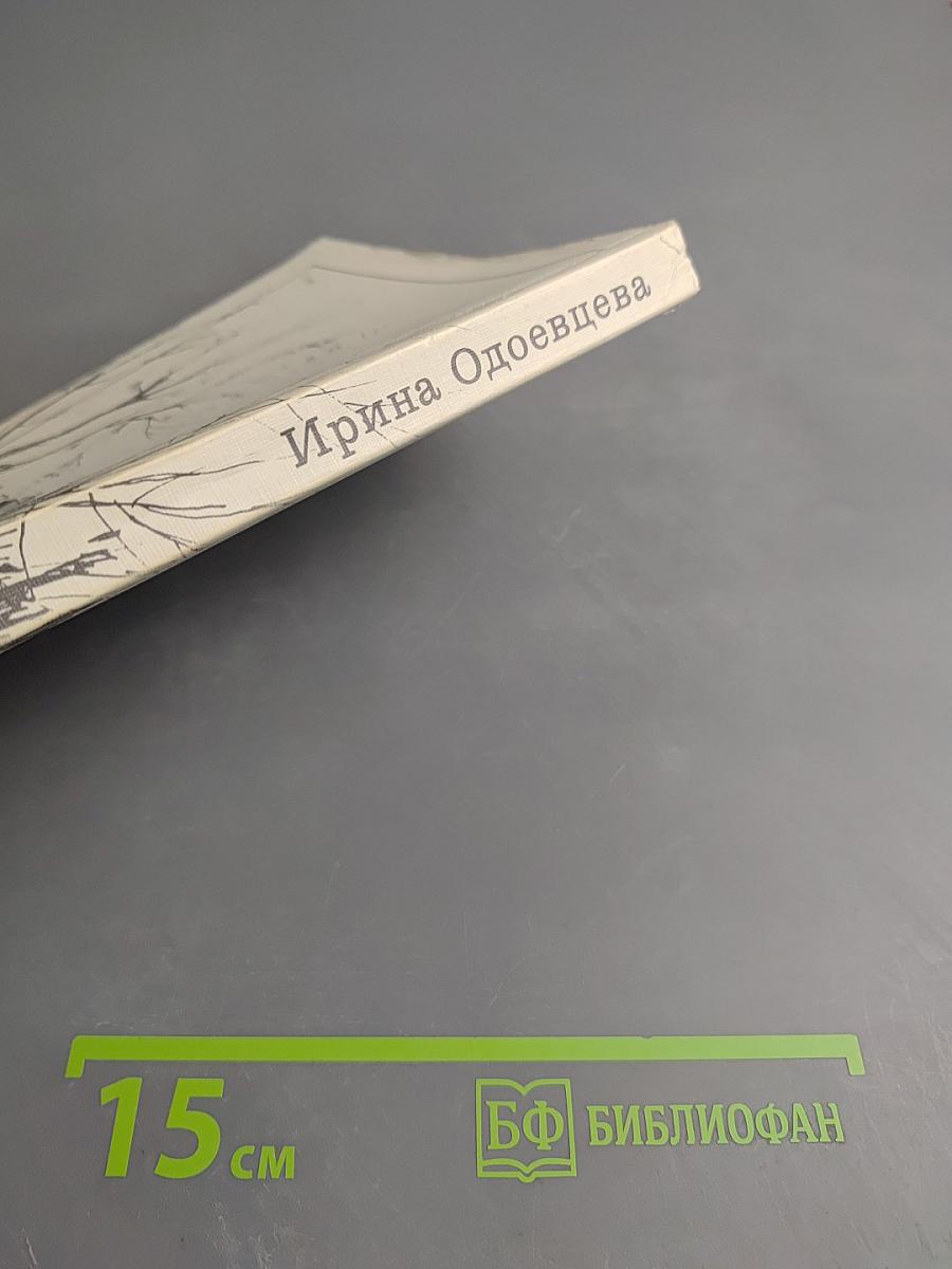 На берегах Сены