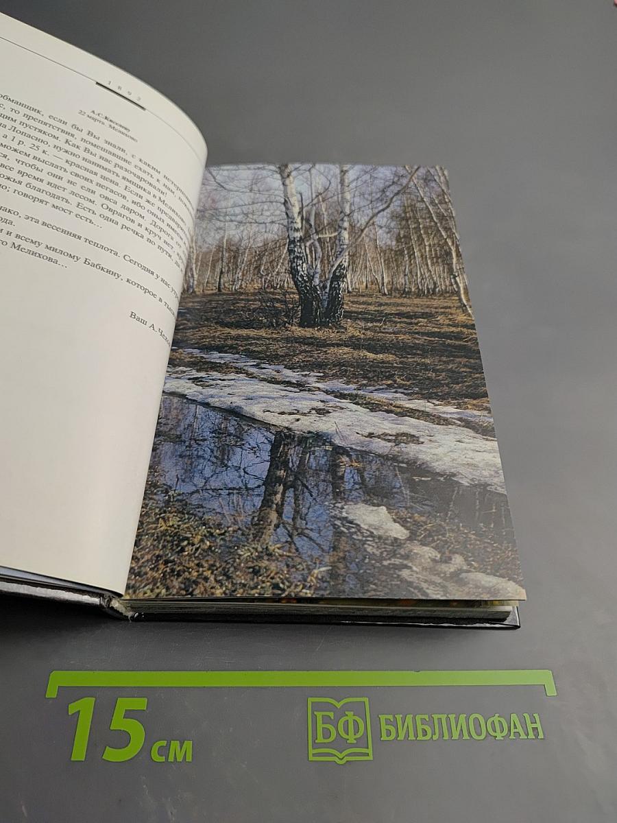 Течение Мелиховской Жизни