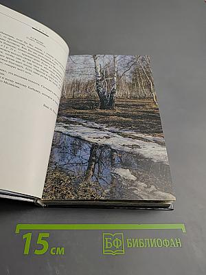 Течение Мелиховской Жизни