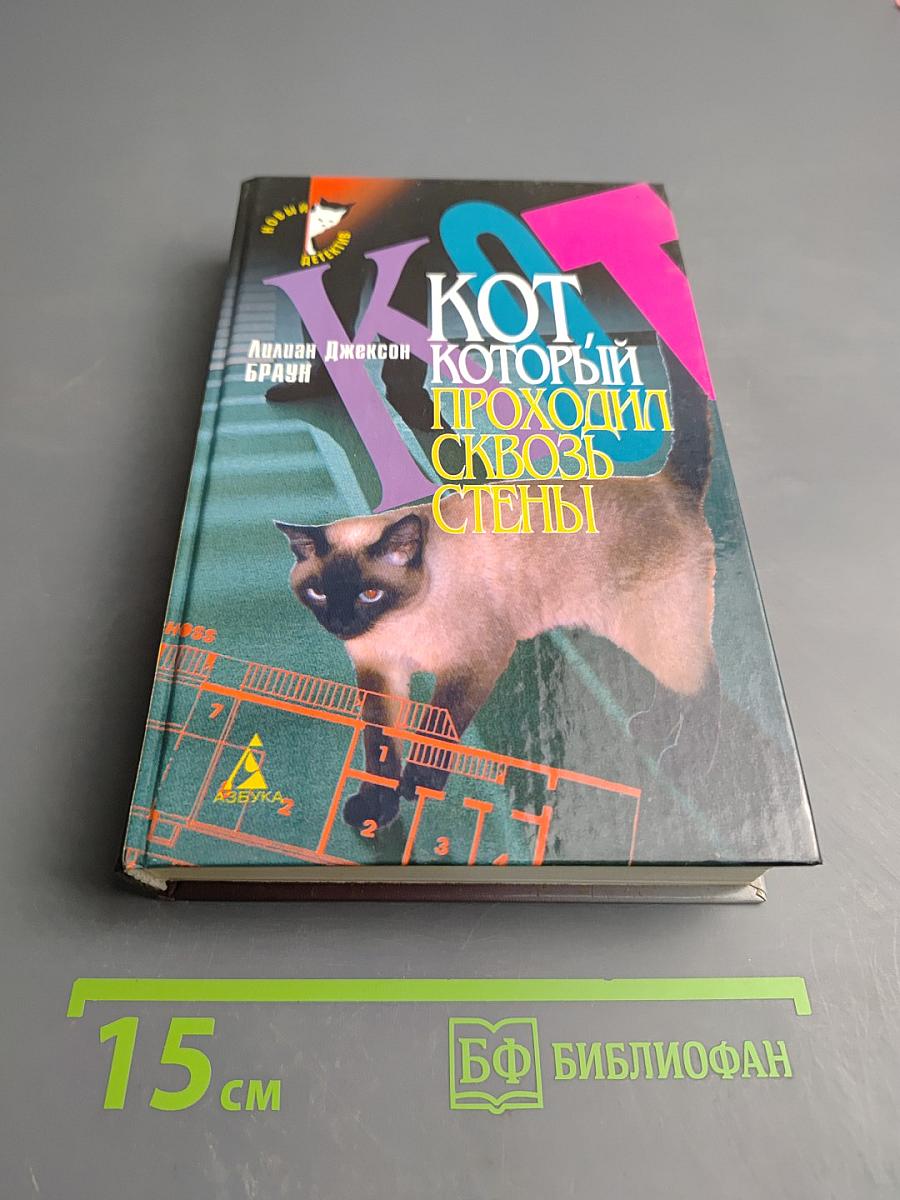 Кот, который проходил сквозь стены