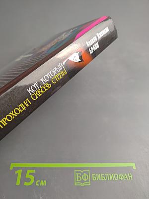 Кот, который проходил сквозь стены