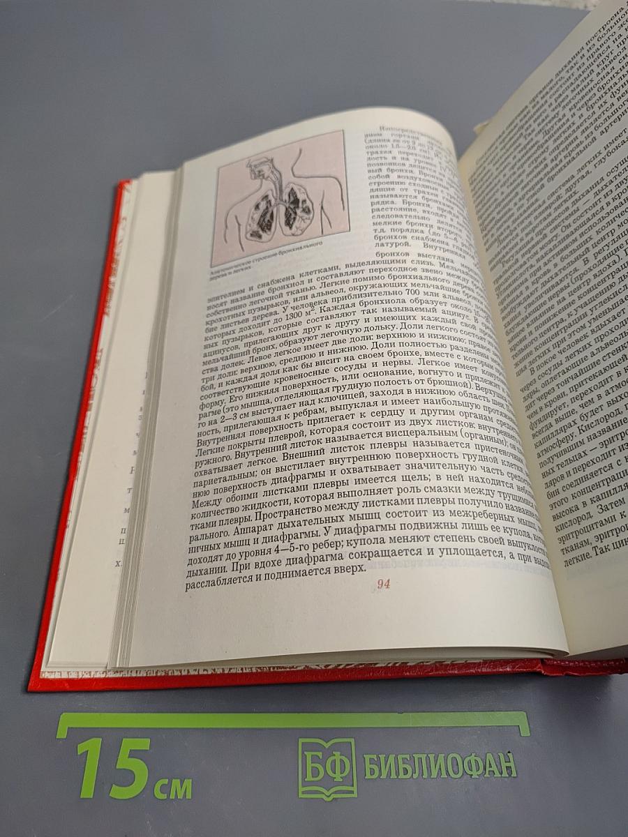 Новый лечебник: Руководство по домашней медицине