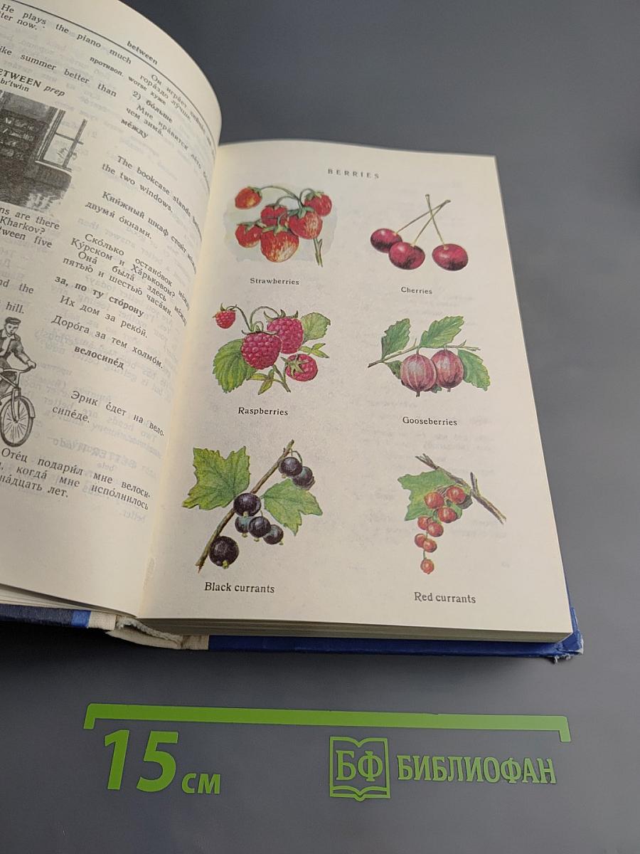 Англо-русский словарь с иллюстрациями