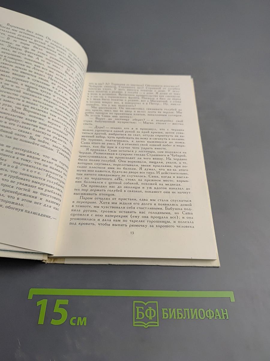 Голубиная охота