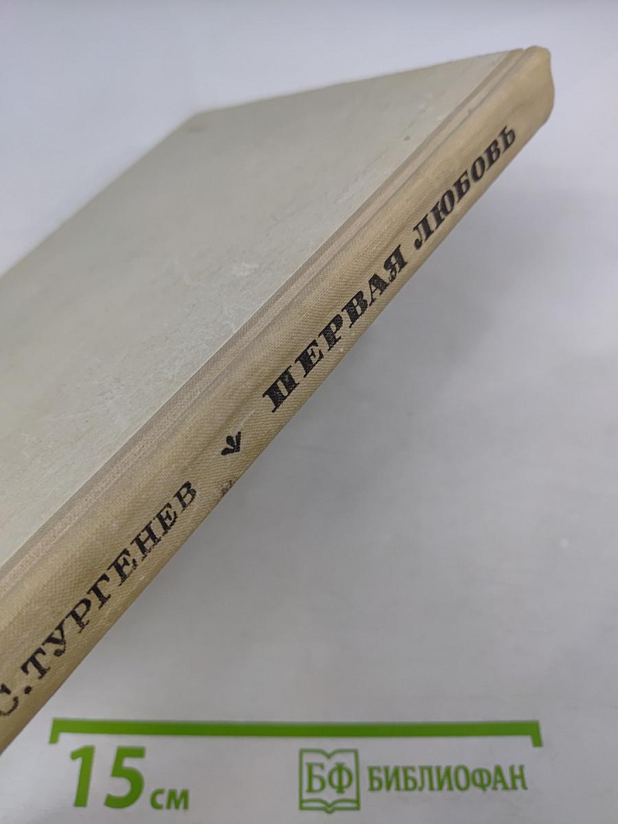 Первая любовь