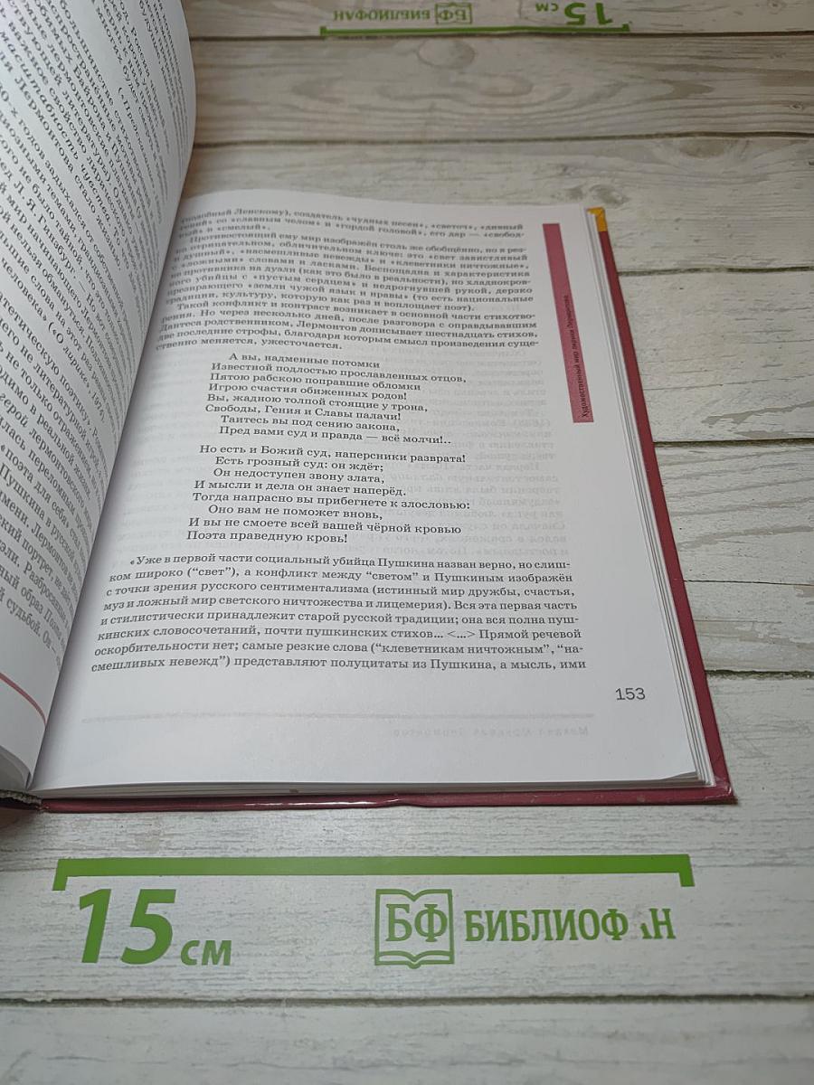 Литература. Учебник для 9 класса. В двух частях. Часть 2