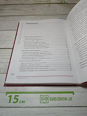 Литература. Учебник для 9 класса. В двух частях. Часть 2
