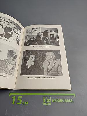 Николай Тихонов. Книга для учащихся старших классов