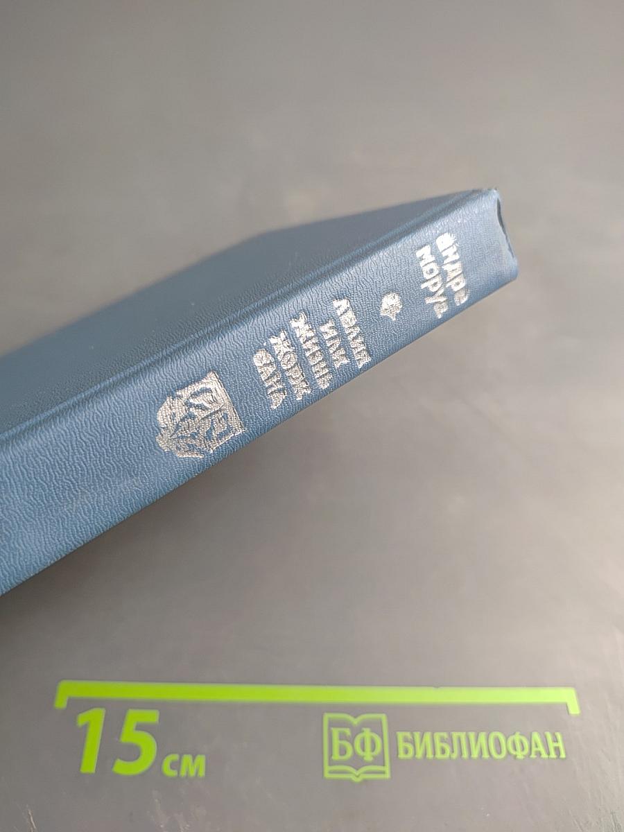 Лелия, или Жизнь Жорж Санд