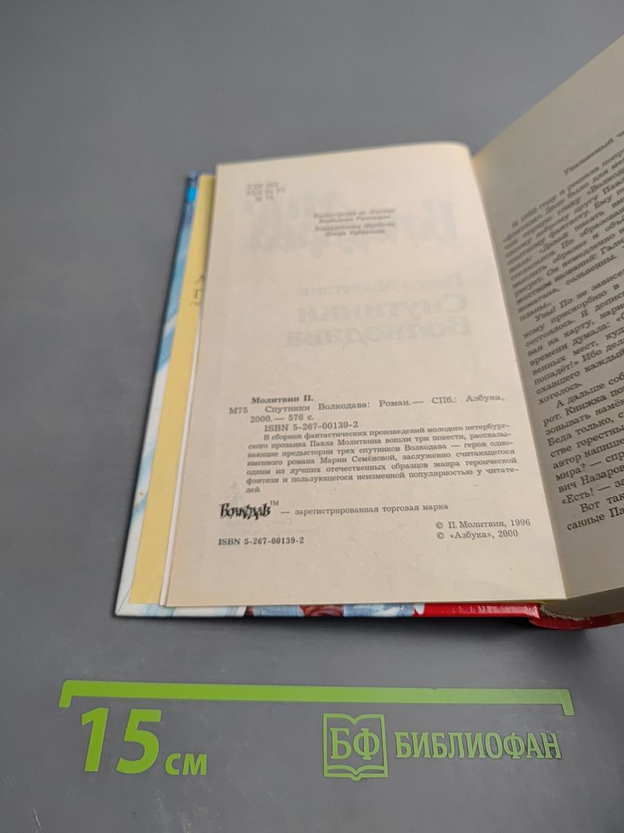 Спутники Волкодава