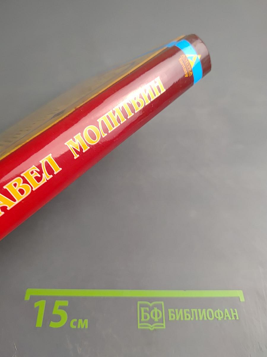 Спутники Волкодава