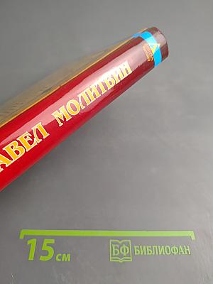 Спутники Волкодава