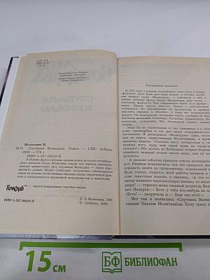 Спутники Волкодава